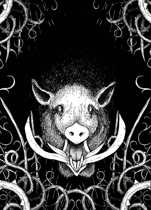 blogboar