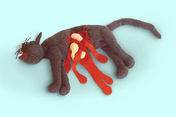 cat by Patricia Waller
